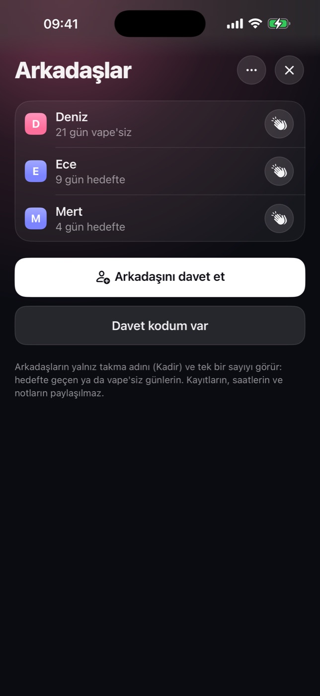 Puffgap Arkadaşlar ekranı: takma ad ve hedefte geçen günler